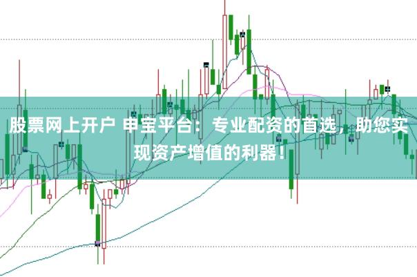 股票网上开户 申宝平台：专业配资的首选，助您实现资产增值的利器！