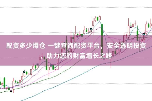 配资多少爆仓 一键查询配资平台，安全透明投资，助力您的财富增长之路