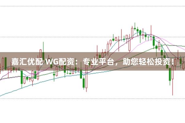 嘉汇优配 WG配资：专业平台，助您轻松投资！