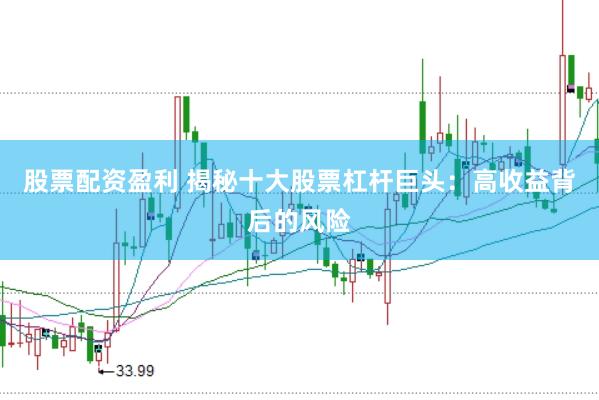 股票配资盈利 揭秘十大股票杠杆巨头：高收益背后的风险