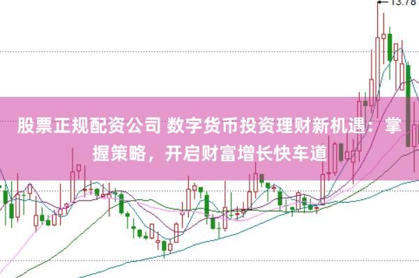股票正规配资公司 数字货币投资理财新机遇：掌握策略，开启财富增长快车道