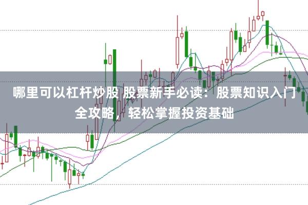 哪里可以杠杆炒股 股票新手必读：股票知识入门全攻略，轻松掌握投资基础