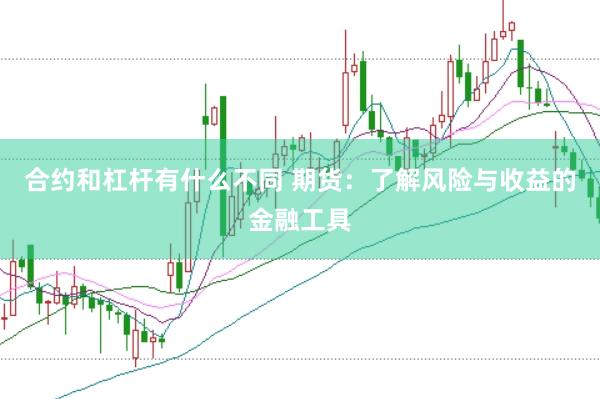 合约和杠杆有什么不同 期货：了解风险与收益的金融工具