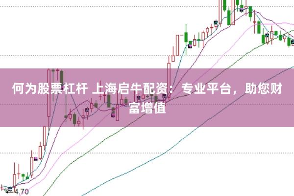 何为股票杠杆 上海启牛配资：专业平台，助您财富增值