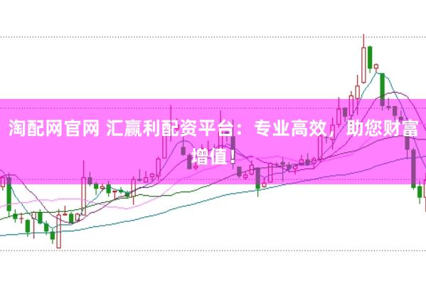 淘配网官网 汇赢利配资平台：专业高效，助您财富增值！