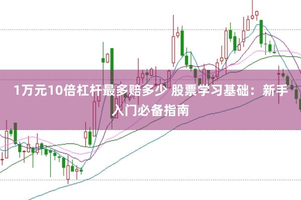 1万元10倍杠杆最多赔多少 股票学习基础：新手入门必备指南