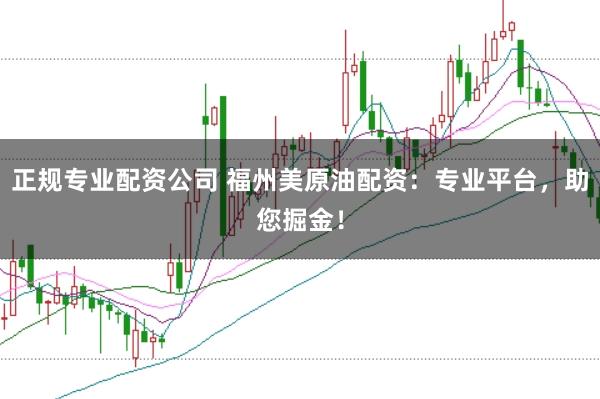 正规专业配资公司 福州美原油配资：专业平台，助您掘金！