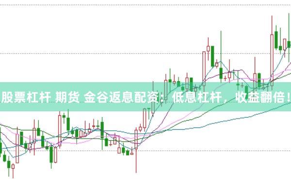 股票杠杆 期货 金谷返息配资：低息杠杆，收益翻倍！