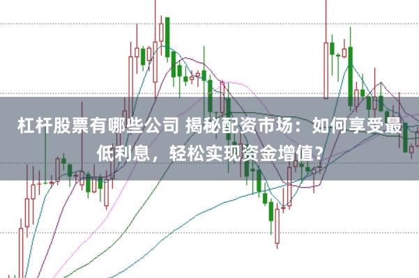 杠杆股票有哪些公司 揭秘配资市场：如何享受最低利息，轻松实现资金增值？