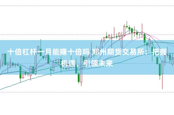十倍杠杆一月能赚十倍吗 郑州期货交易所：把握机遇，引领未来