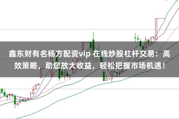 鑫东财有名杨方配资vip 在线炒股杠杆交易：高效策略，助您放大收益，轻松把握市场机遇！