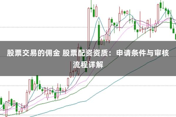 股票交易的佣金 股票配资资质：申请条件与审核流程详解