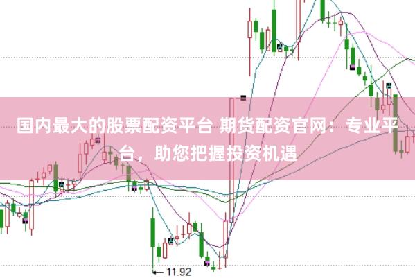 国内最大的股票配资平台 期货配资官网：专业平台，助您把握投资机遇