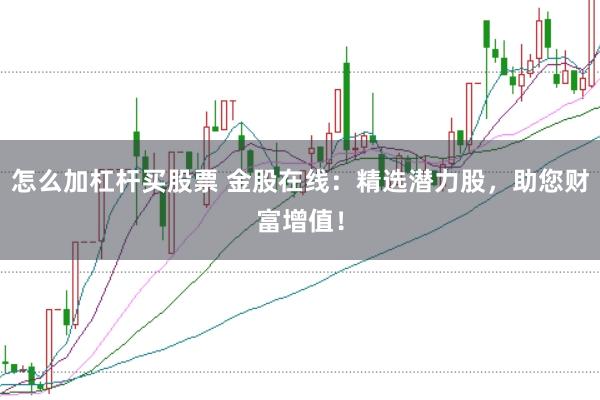 怎么加杠杆买股票 金股在线：精选潜力股，助您财富增值！