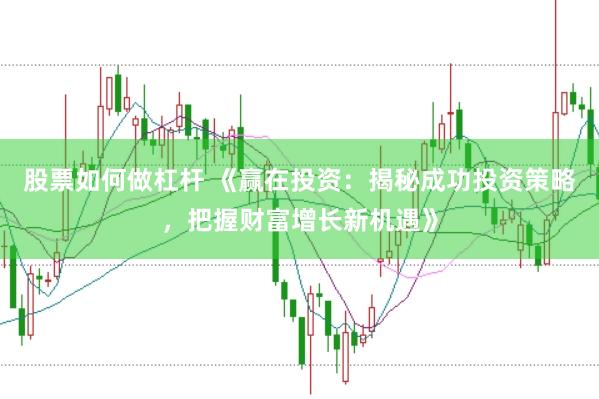 股票如何做杠杆 《赢在投资：揭秘成功投资策略，把握财富增长新机遇》