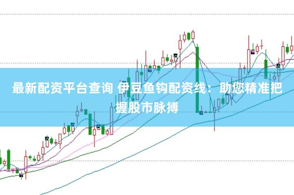 最新配资平台查询 伊豆鱼钩配资线：助您精准把握股市脉搏