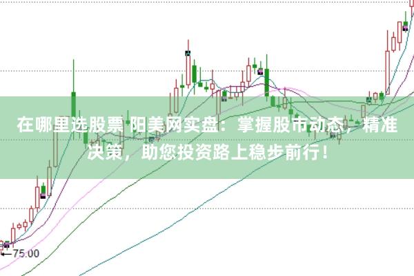 在哪里选股票 阳美网实盘：掌握股市动态，精准决策，助您投资路上稳步前行！