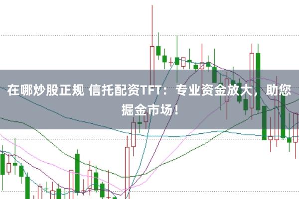 在哪炒股正规 信托配资TFT：专业资金放大，助您掘金市场！