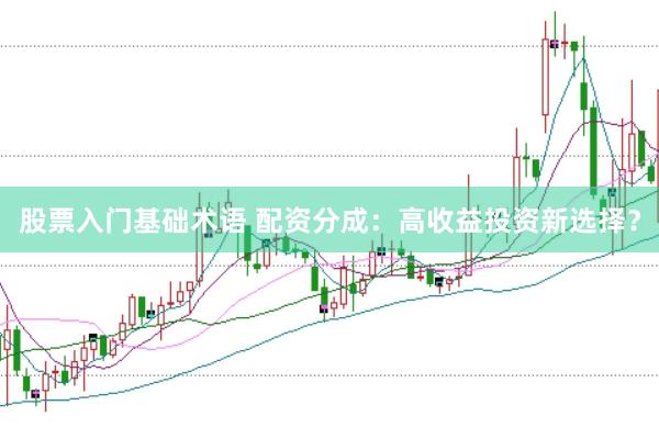 股票入门基础术语 配资分成：高收益投资新选择？
